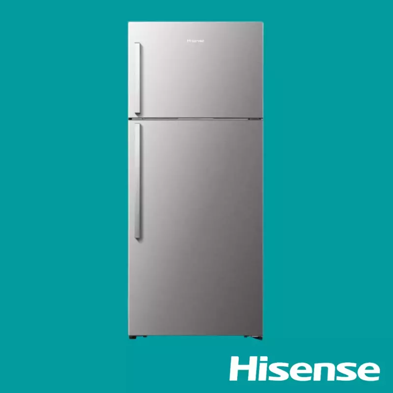 Hisense Top Freezer Refrigerator 504L | RD-66WR