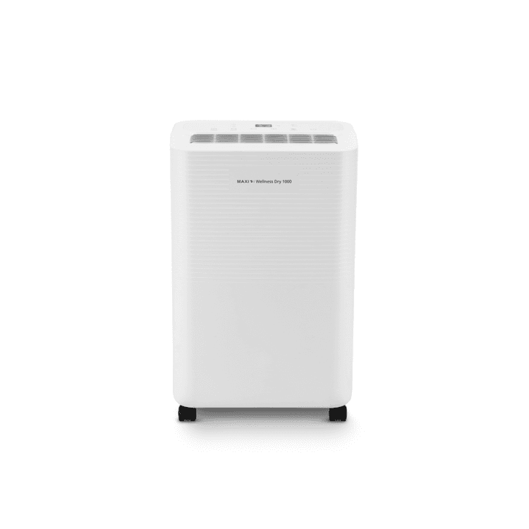 Dehumidifier dryer